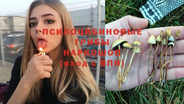 круглые Лагань