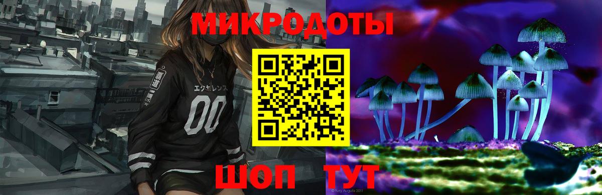 Псилоцибиновые грибы Cubensis Южноуральск